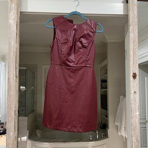 She + Sky Small Burgundy Maroon Pleather Dress